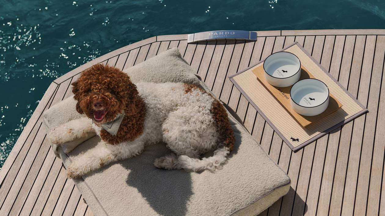 Kit Poldo Dog Couture per Pardo Yachts Copyright © Poldo Dog Couture