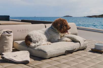 Poldo Dog Couture Kit for Pardo Yachts