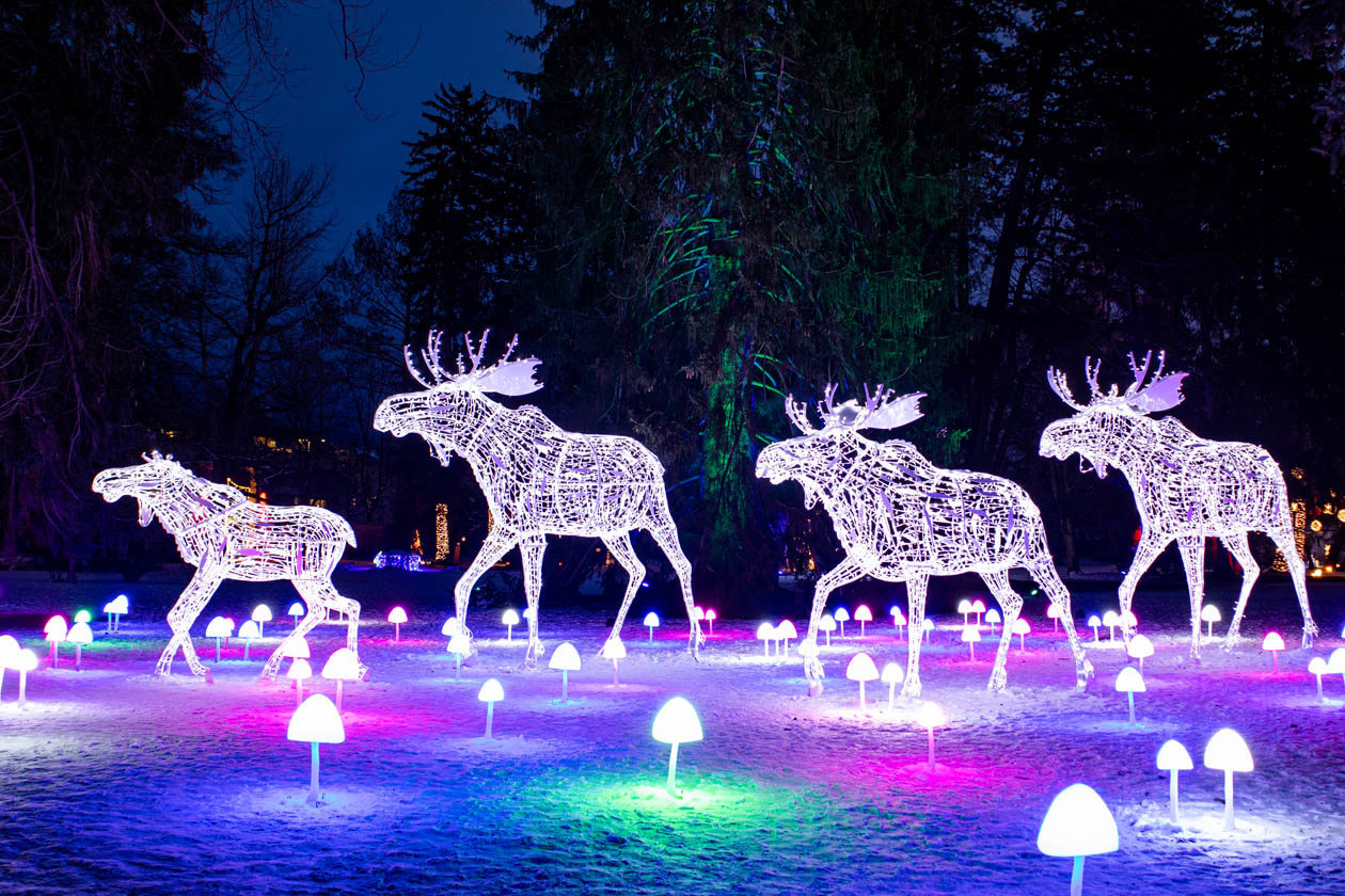 Parco di luci di LUMAGICA di Innsbruck Foto: Copyright © LUMAGICA - Ufficio stampa Innsbruck Tourismus