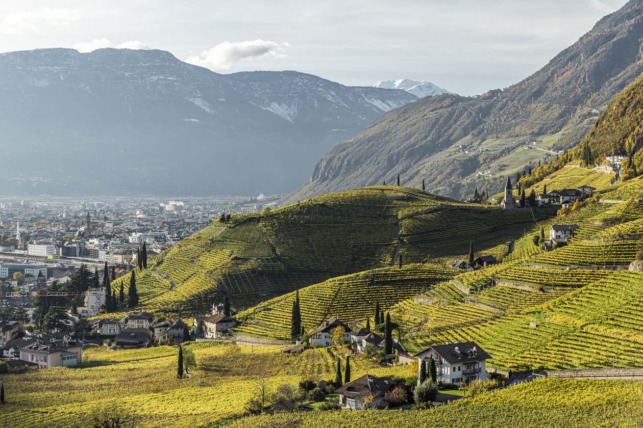 Bolzano, vitigni St Magdalena, ph. Tiberio Sorvillo