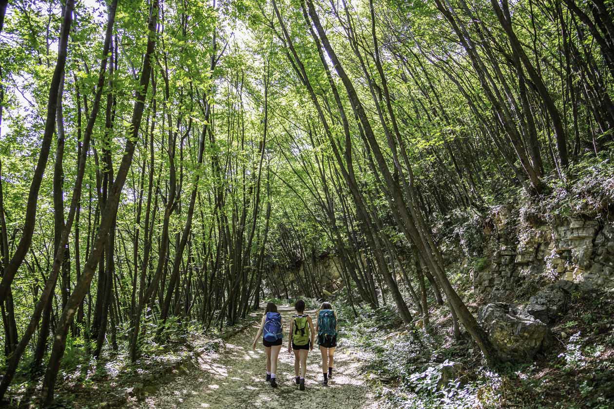 Parco delle Colline_ph Alessio Guitti