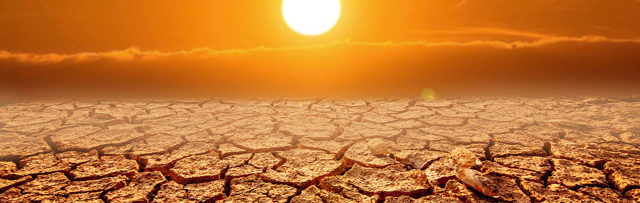 World Day to combat desertification and drought