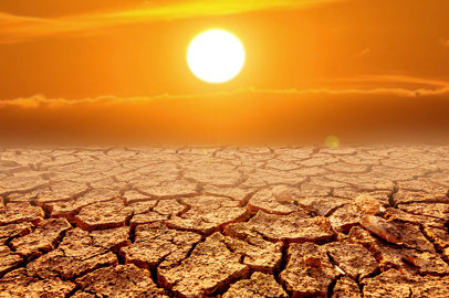 World Day to combat desertification and drought