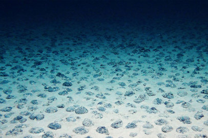 Global campaign to save the seabed