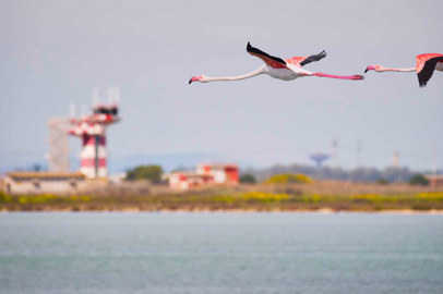 Growing traffic for Cagliari Airport