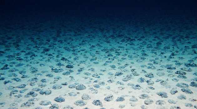 Global campaign to save the seabed