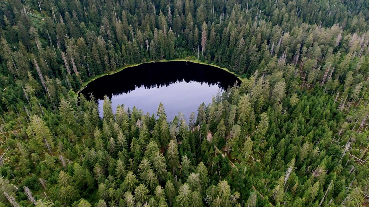 Nationalpark Schwarzwald, Karsee in der National Park Region © Black Forest Collective