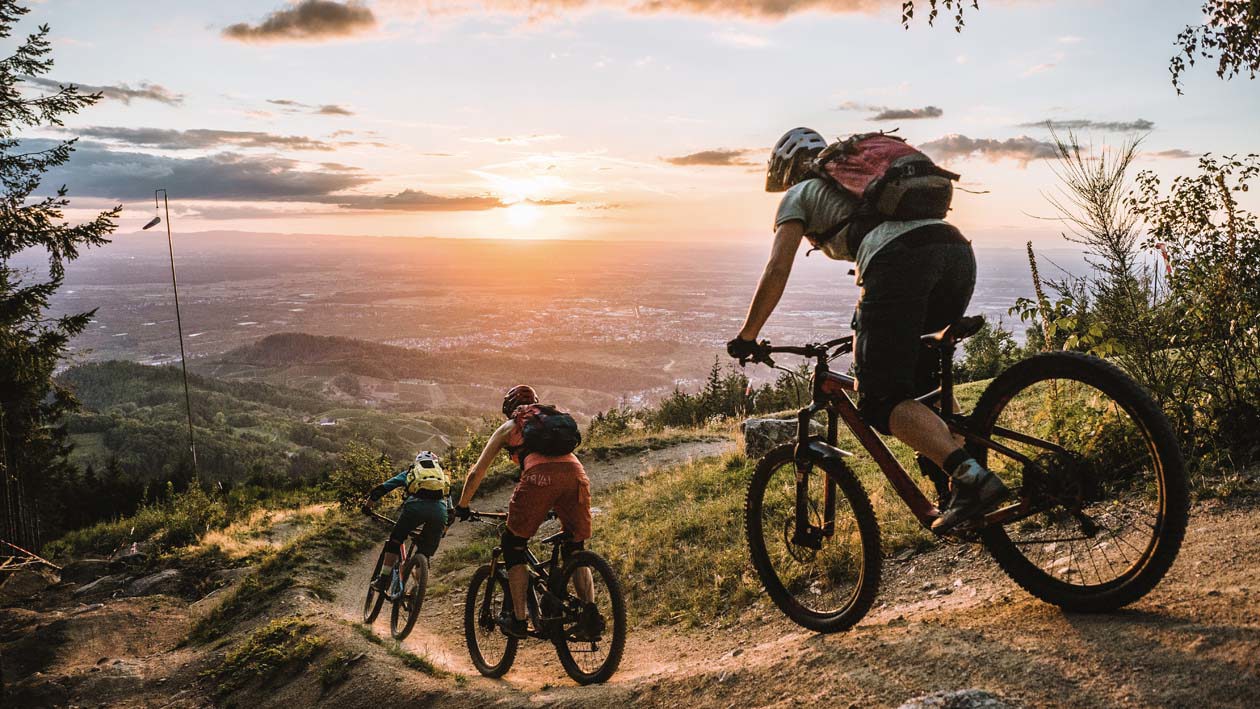 National Park Schwarzwald, Mountain biker © Black Forest Collective