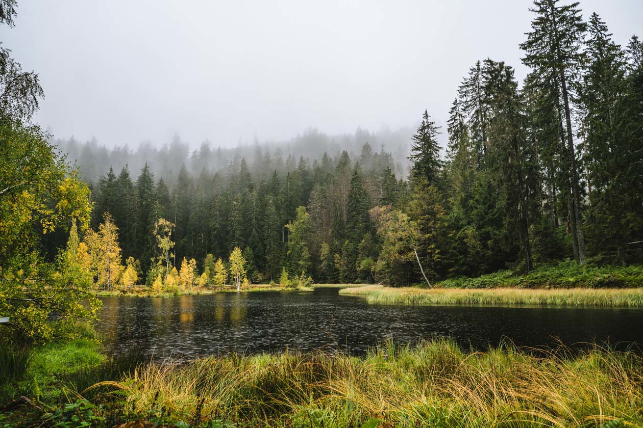 National Park Schwarzwald, See bei Nebel © Black Forest Collective