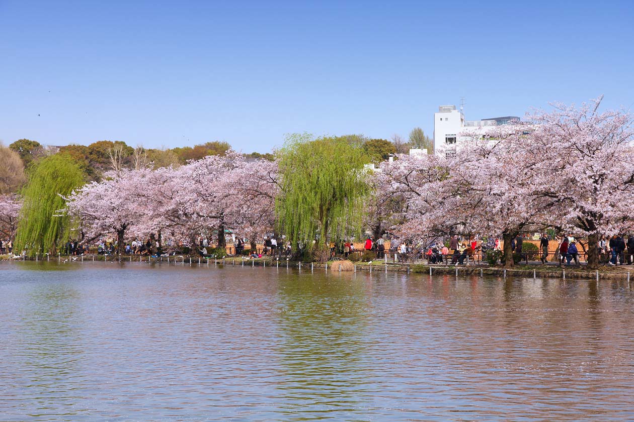 Parco Ueno, Tokyo Copyright © Sisterscom.com / Depositphotos