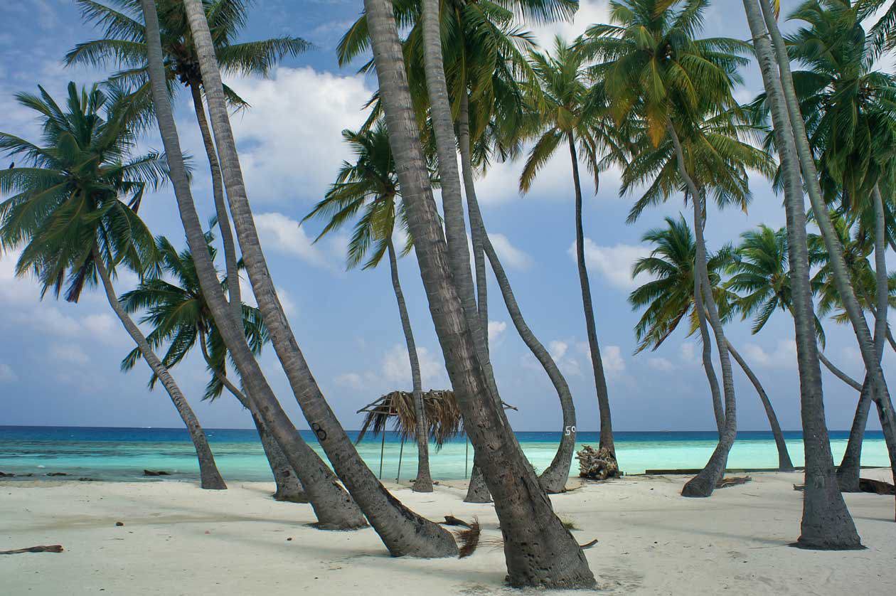 Isola di Maafushi, Maldive Foto: Copyright © Sisterscom.com / Depositphotos