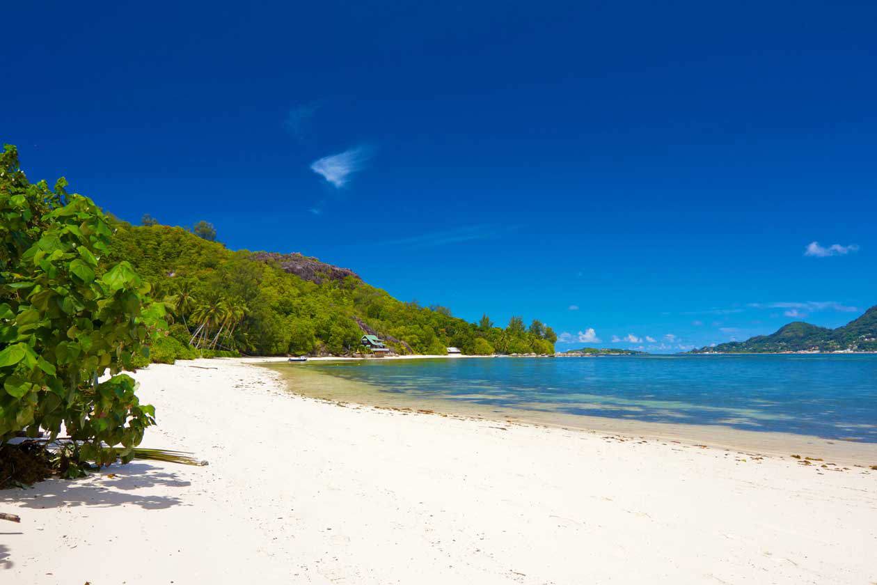 Cerf Island, Seychelles Copyright © Sisterscom.com / Depositphotos