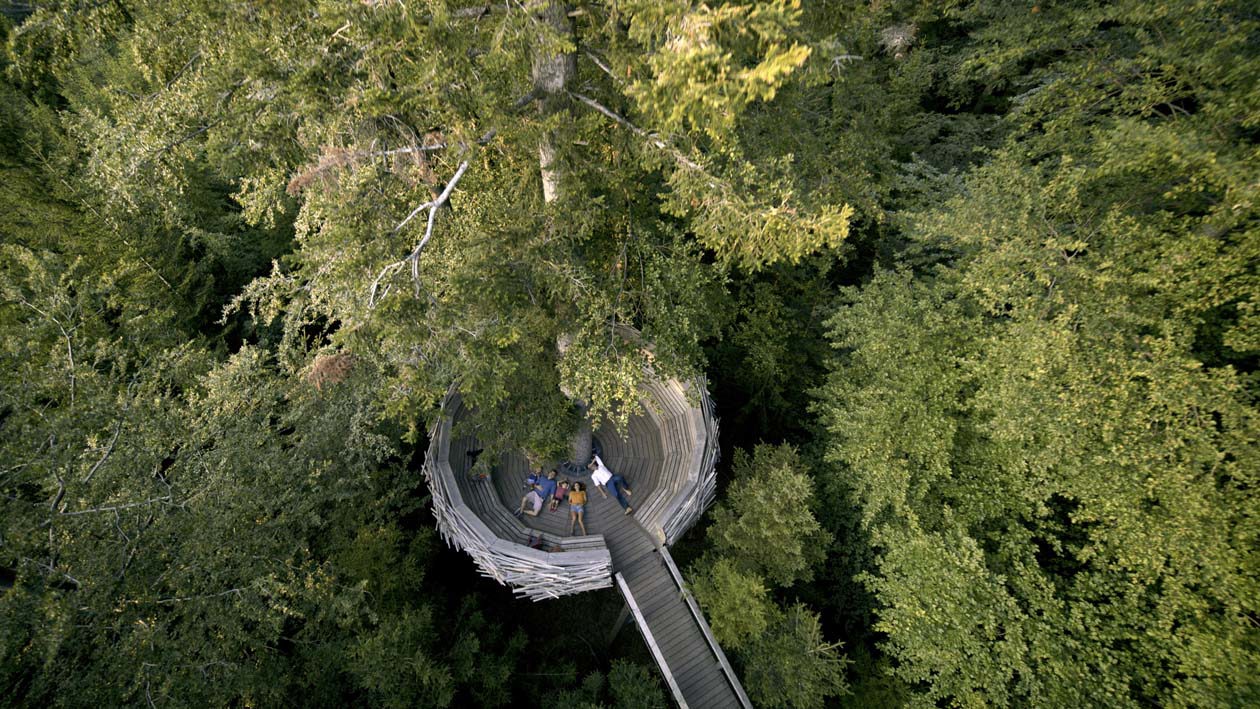 National Park Schwarzwald, Wildnispfad, Adlerhorst © Black Forest Collective