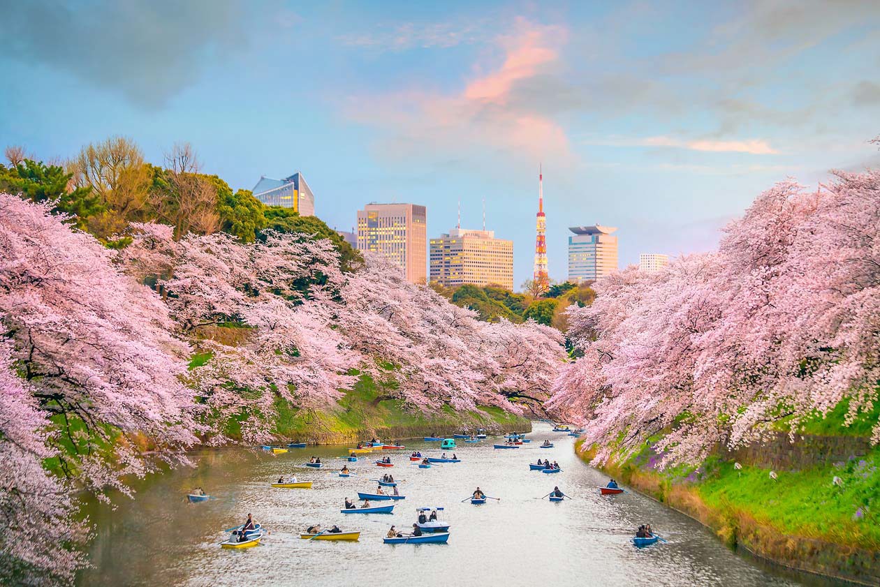 Tokyo Copyright © Sisterscom.com / Depositphotos