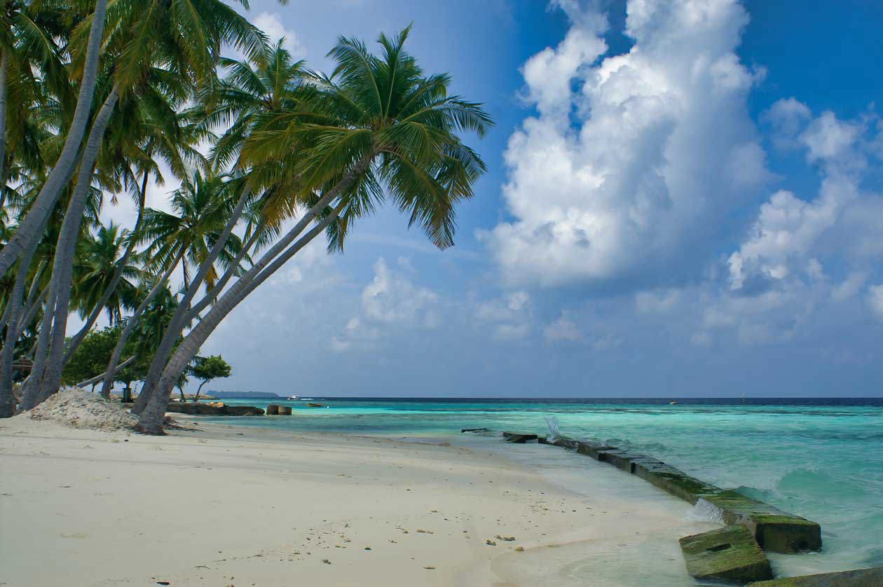 Isola di Maafushi, Maldive Foto: Copyright © Sisterscom.com / Depositphotos