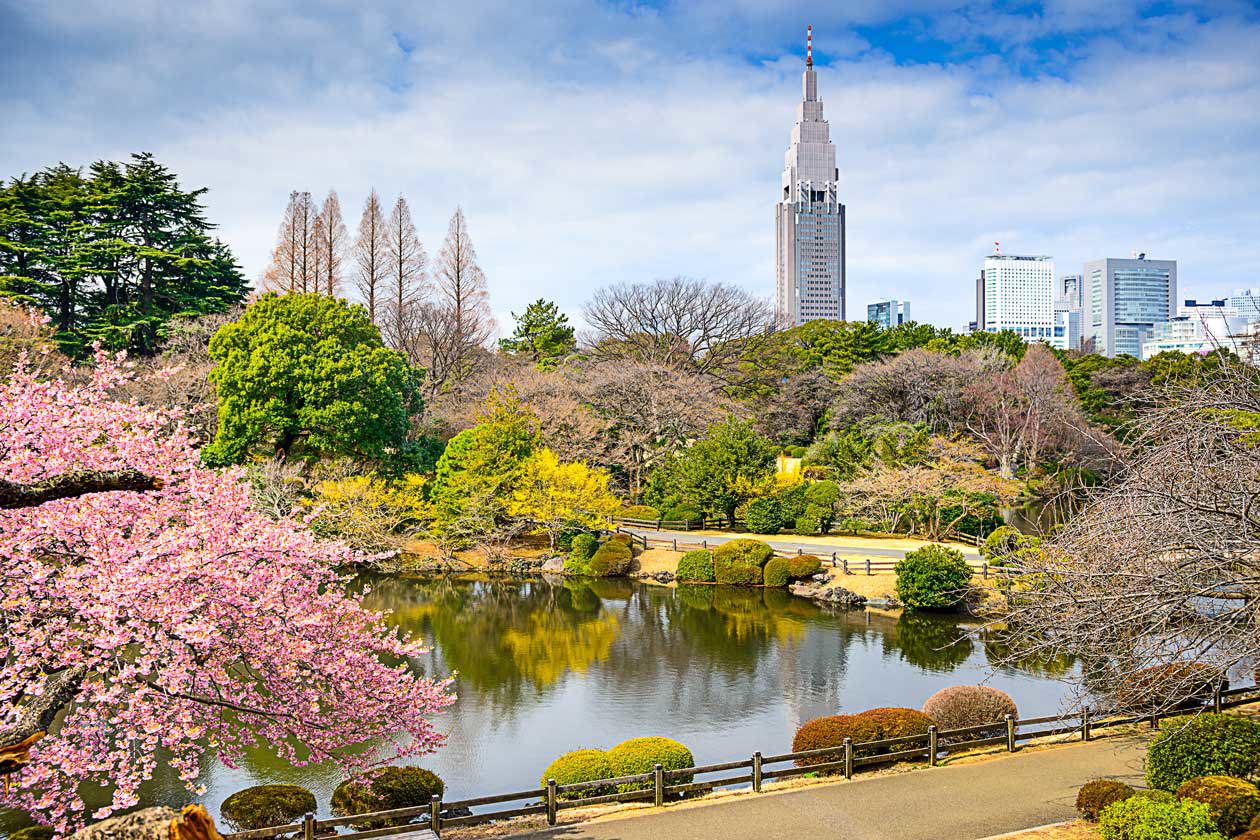 Shinjuku Gyoen, Tokyo Copyright © Sisterscom.com / Depositphotos