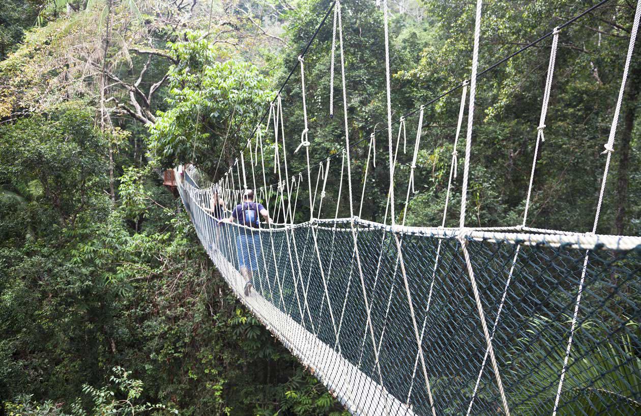 Parco Nazionale Taman Negara. Foto: copyright © Sisterscom.com / Depositphotos