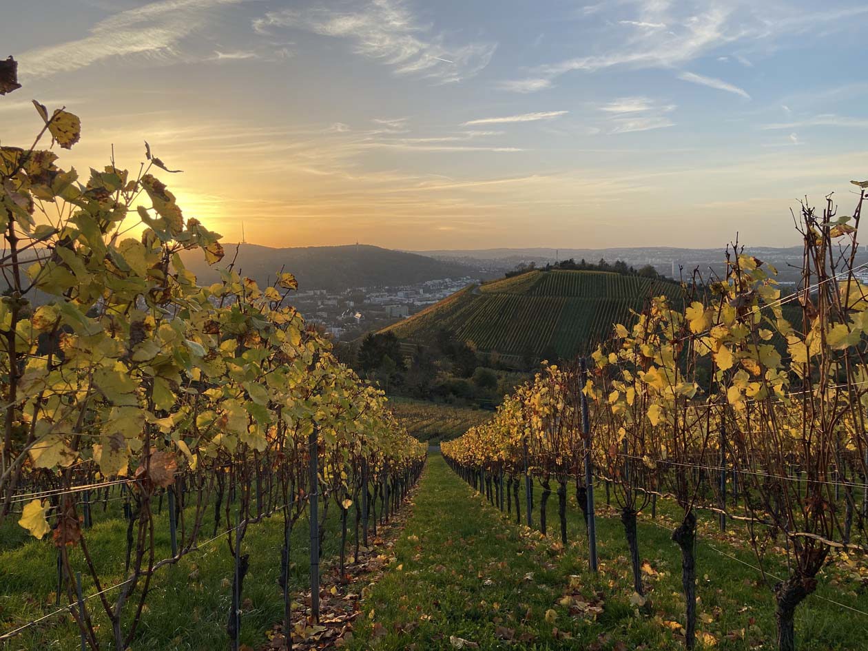 Vigneti sulle colline di Stoccarda Copyright © Sisterscom.com / Avion Tourism Magazine