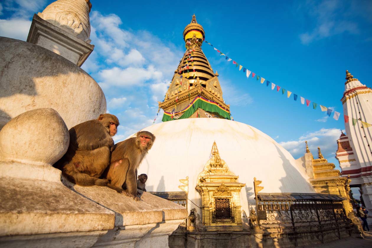 Stupa di Swayambhunath, Tempio delle Scimmie, Kathmandu, Nepal Copyright © Sisterscom.com / Depositphotos