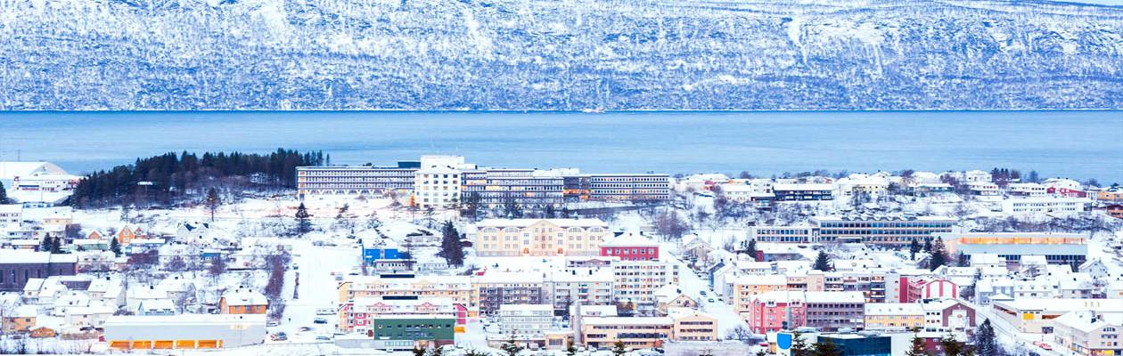 Narvik