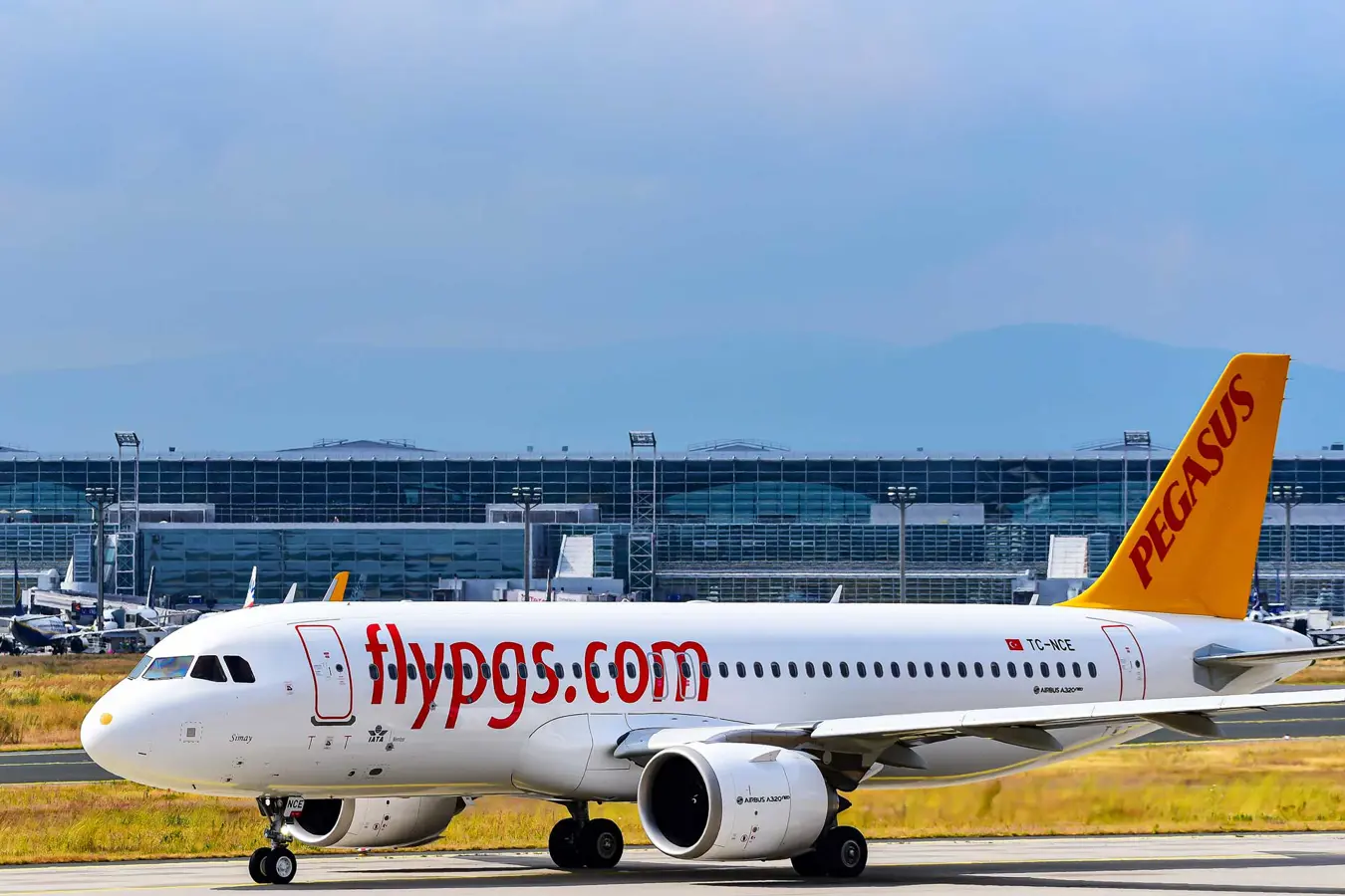 Pegasus Airlines