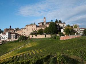 The Barbaresco Hills: land of wines and history between Barbaresco and Neive