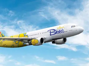 Bees Airlines