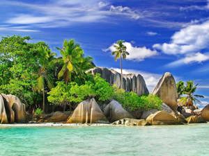 What to do in the Seychelles