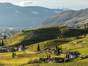 Events in Bolzano in autumn