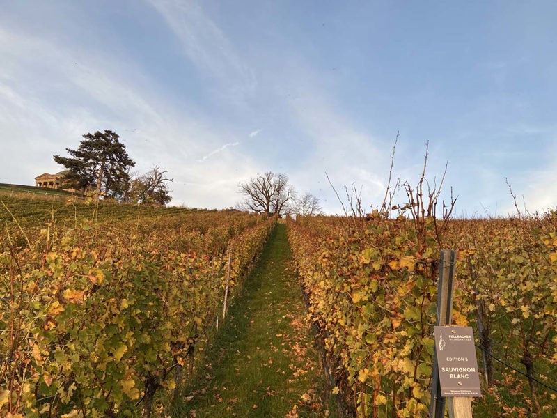 Il mausoleo del Württemberg tra i vigneti, nel quartiere Rotenberg di Stoccarda, sulla vetta del colle Württemberg nella foresta Schurwald sopra la valle del Neckar Copyright © Sisterscom.com / Avion Tourism Magazine