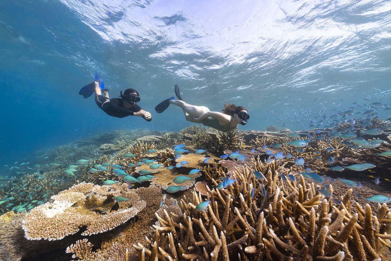 Snorkeling alla Grande Barriera Corallina © Tourism and Events Queensland