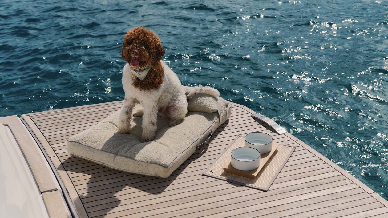 Kit Poldo Dog Couture per Pardo Yachts Copyright © Poldo Dog Couture