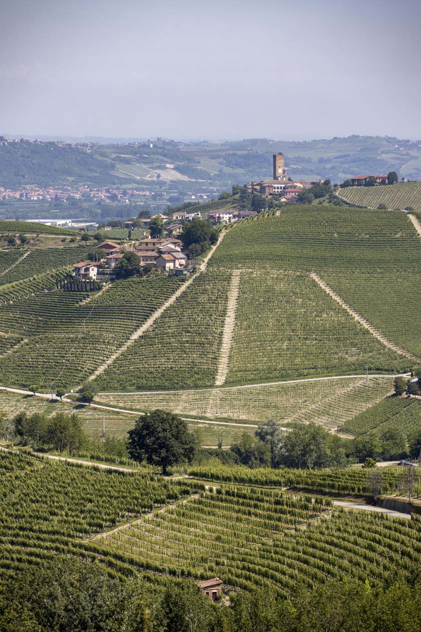 Barbaresco Copyright © Can't Forget Italy, Archivio Ente Turismo Langhe-Roero e Monferrato