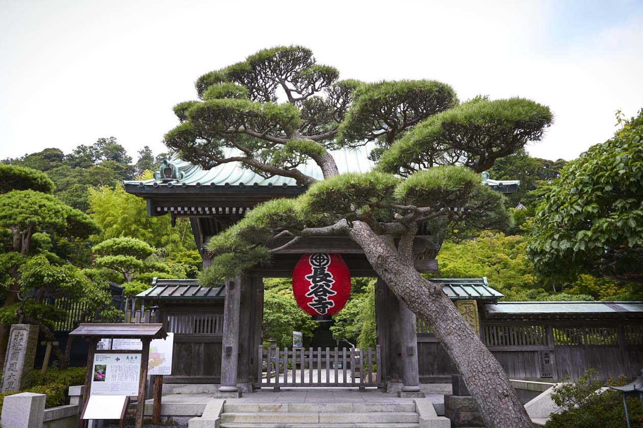 Tempio di Hase-dera Copyright © JNTO - Japan National Tourism Organization