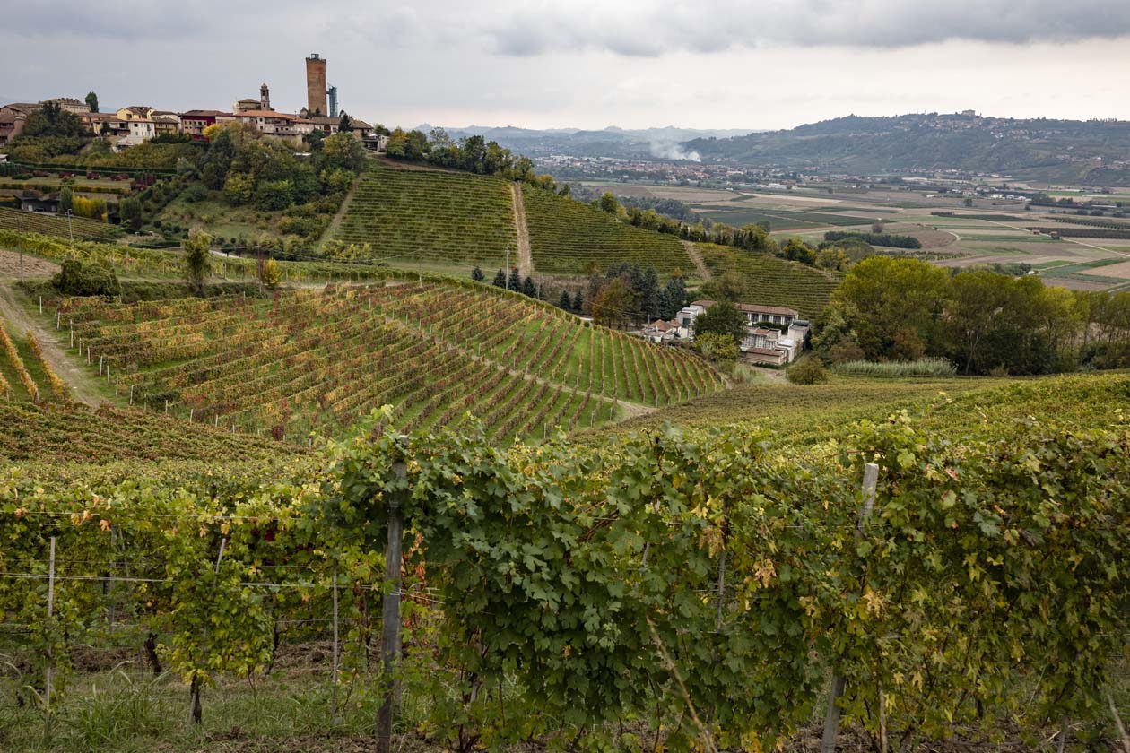 Barbaresco Copyright © Alessandro Sgarito, Archivio Ente Turismo Paesaggi Vitivinicoli del Piemonte: Langhe-Roero e Monferrato