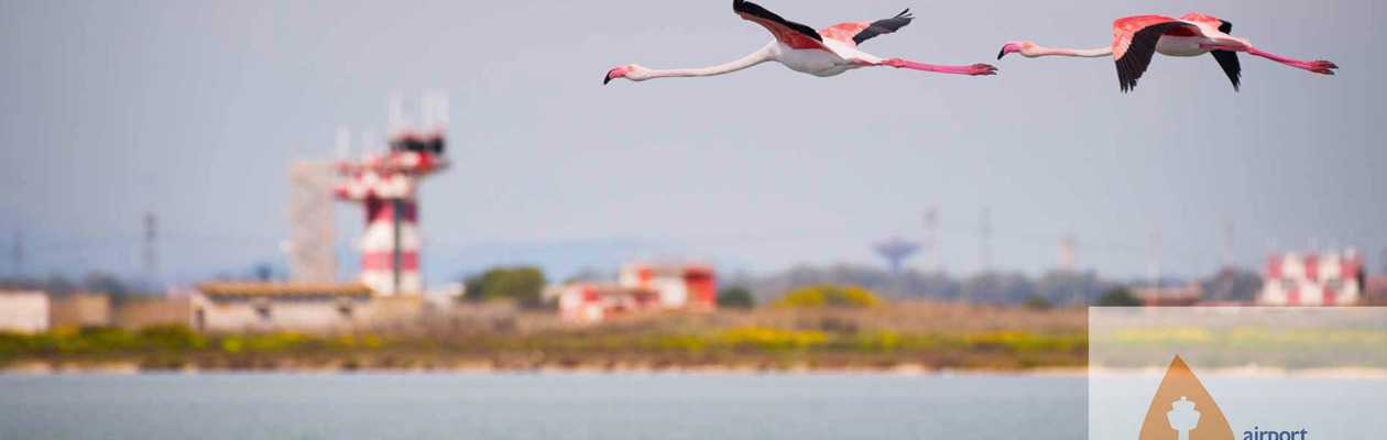 Nuova certificazione ambientale per l'aeroporto di Cagliari