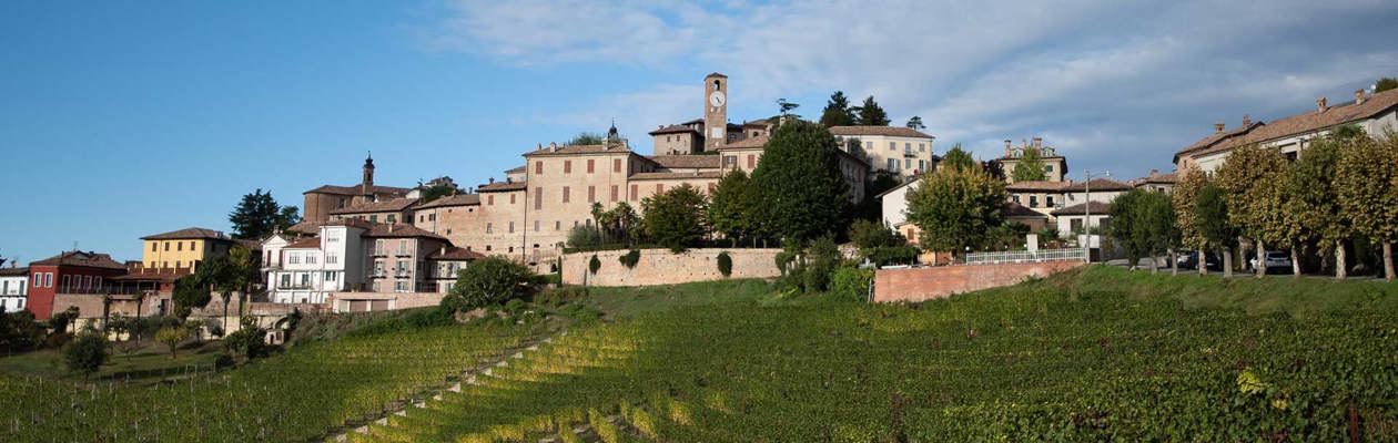 Le Colline del Barbaresco: terra di vini e storia tra Barbaresco e Neive